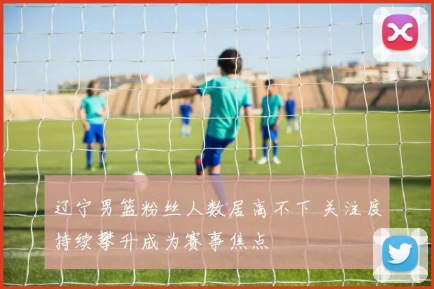 辽宁男篮粉丝人数居高不下 关注度持续攀升成为赛事焦点
