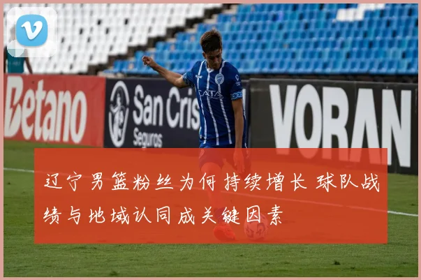 辽宁男篮粉丝为何持续增长 球队战绩与地域认同成关键因素