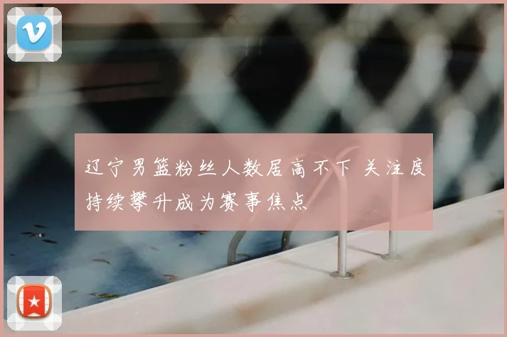 辽宁男篮粉丝人数居高不下 关注度持续攀升成为赛事焦点